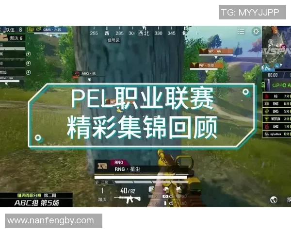 2026电竞新闻和平精英个人能力排行榜揭晓RNG荣登第五名引发热议 2026电竞新闻和平精英个人能力排行榜揭晓RNG荣登第五名引发热议